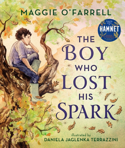 The Boy Who Lost His Spark-9781406392012