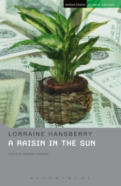 A Raisin In The Sun-9781408140901