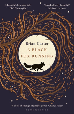 A Black Fox Running-9781408896129