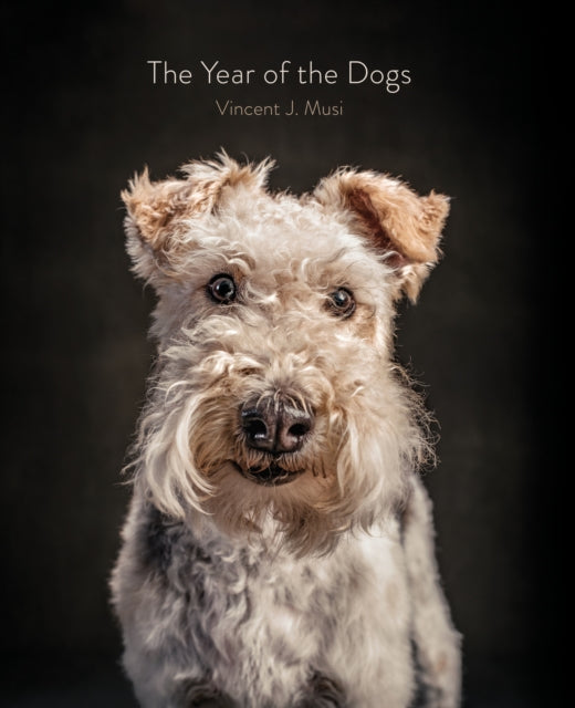 The Year of the Dogs-9781452181929