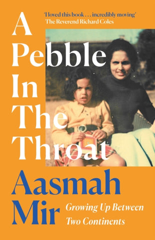 A Pebble In The Throat : Growing Up Between Two Continents-9781472288523