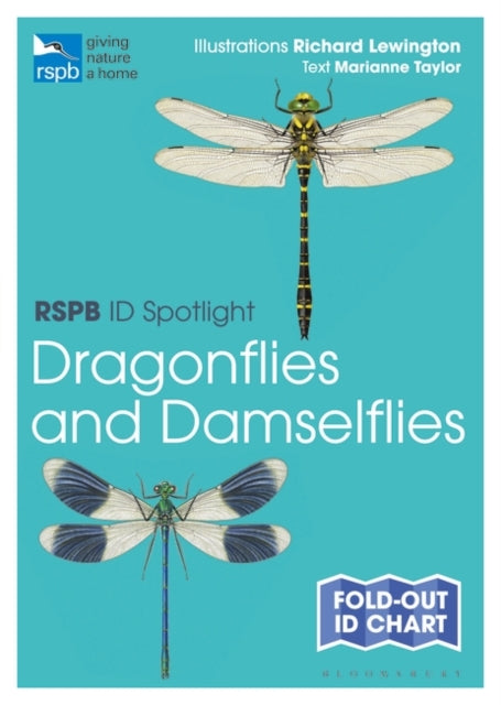 Rspb Id Spotlight - Dragonflies and Damselflies-9781472974280