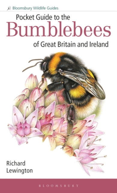 Pocket Guide to the Bumblebees of Great Britain and Ireland-9781472993595