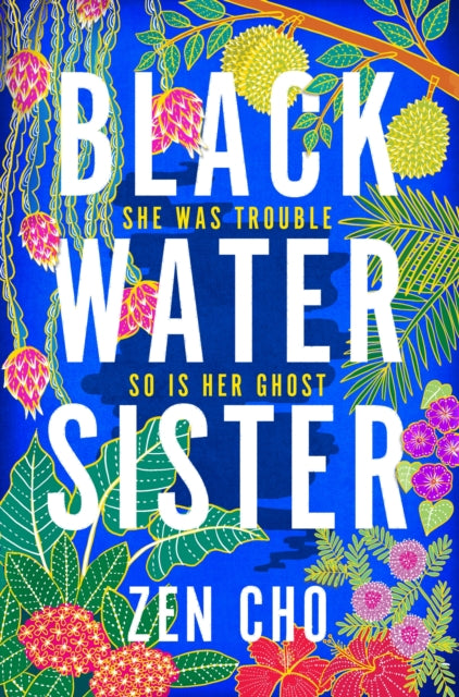 Black Water Sister-9781509800018