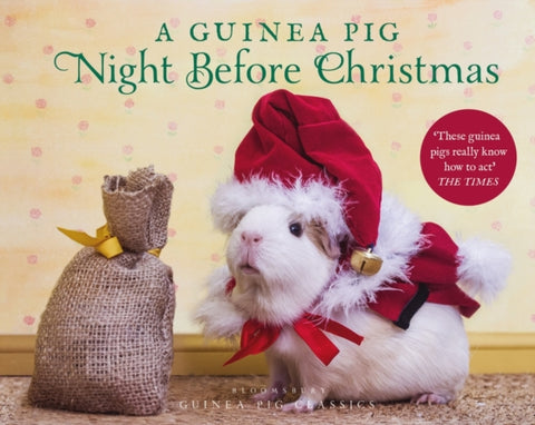 A Guinea Pig Night Before Christmas-9781526613561
