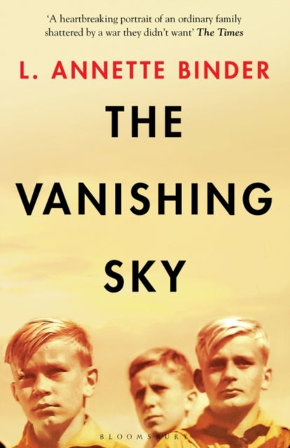 The Vanishing Sky-9781526616746