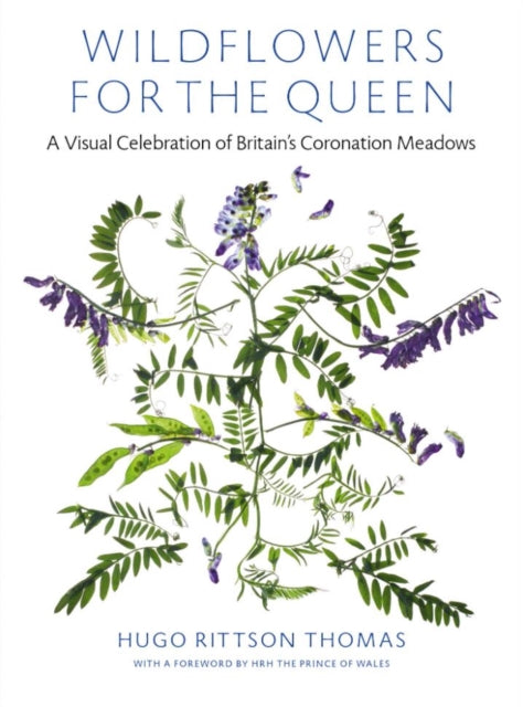 Wildflowers for the Queen : A Visual Celebration of Britain's Coronation Meadows-9781527249592