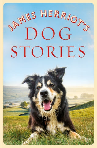 James Herriot's Dog Stories-9781529023619