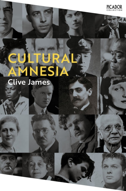 Cultural Amnesia : Notes in the Margin of My Time-9781529077346