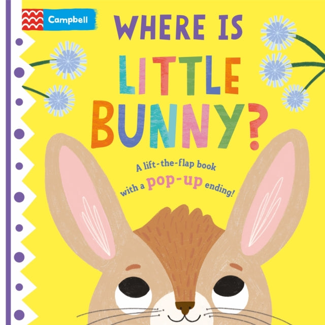 Where is Little Bunny? : The lift-the-flap book with a pop-up ending!-9781529098433