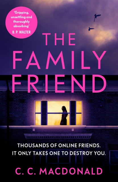The Family Friend : the gripping and twist-filled Instagram thriller-9781529111378