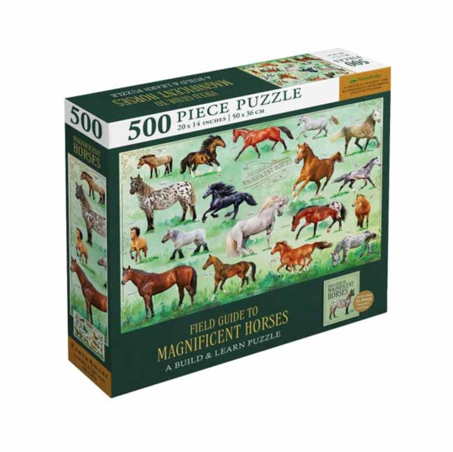 Field Guide to Magnificent Horses-9781682986738