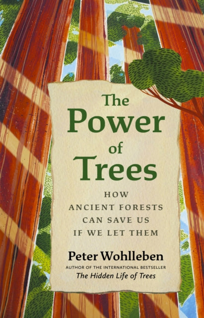 The Power of Trees : How Ancient Forests Can Save Us if We Let Them-9781771647748