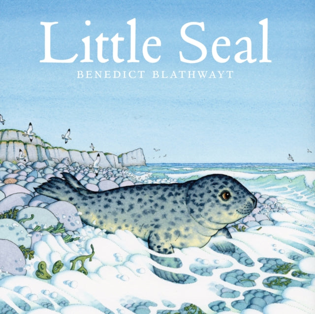 Little Seal-9781780274607
