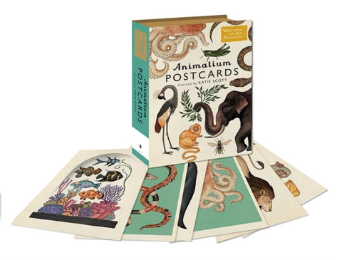 Animalium Postcards-9781783706259