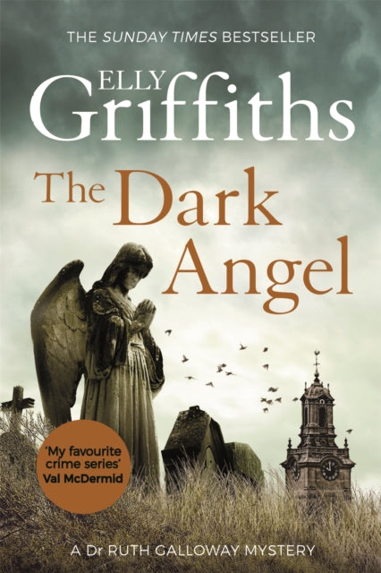 The Dark Angel : The Sunday Times Bestseller-9781784296667