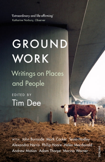 Ground Work : Writings on People and Places-9781784703462