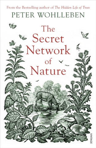 The Secret Network of Nature : The Delicate Balance of All Living Things-9781784708498