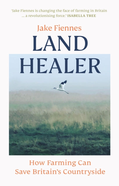 Land Healer-9781785947308