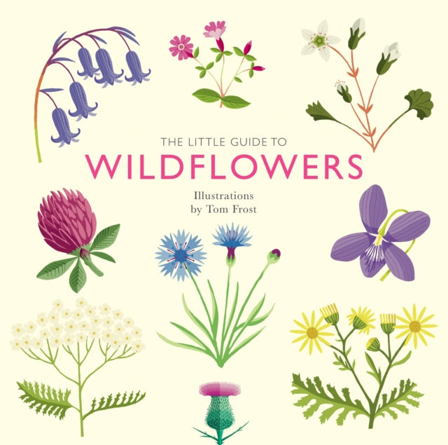 The Little Guide to Wildflowers-9781787139589