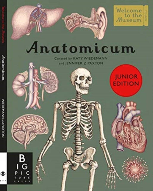 Anatomicum Junior-9781787416543