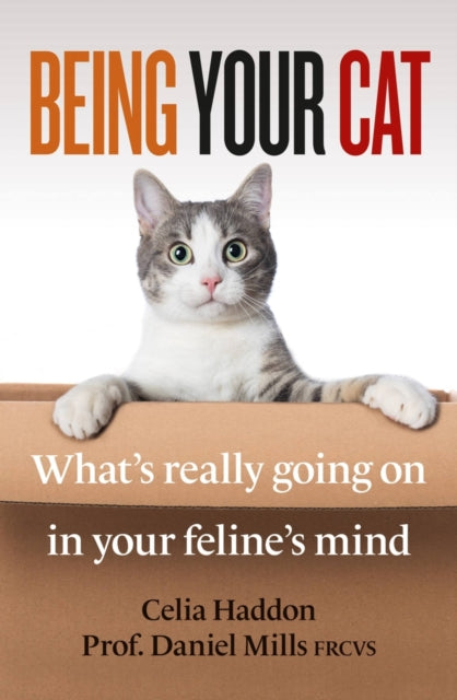 Being Your Cat : What's really going on in your feline's mind-9781788404051