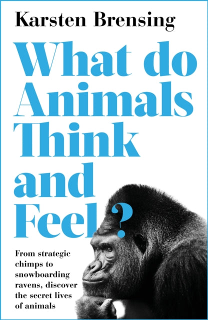 What Do Animals Think and Feel?-9781788544511