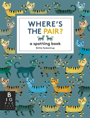 Where's the Pair? : A Spotting Book-9781800787872