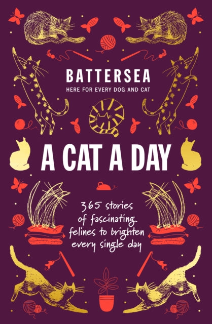 Battersea Dogs and Cats Home - A Cat a Day : 365 stories of fascinating felines to brighten every day-9781802797084