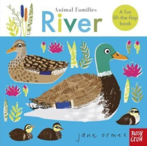 Animal Families: River-9781839941450