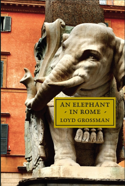 An Elephant in Rome : Bernini, The Pope and The Making of the Eternal City-9781843681939