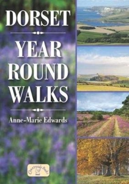 Dorset Year Round Walks-9781846743528