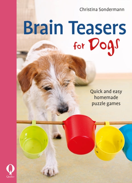 Brain Teasers for Dogs : Quick and easy homemade puzzle games-9781846892721