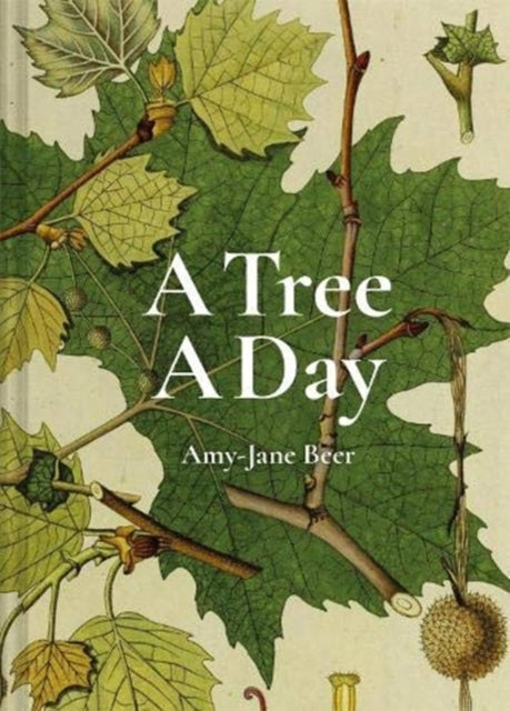 A Tree A Day-9781849946520