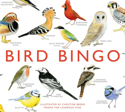 Bird Bingo-9781856699174