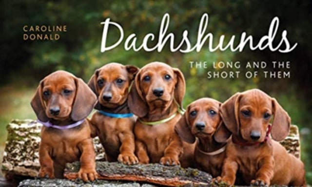 Dachshunds : The Long and the Short of Them-9781910258279