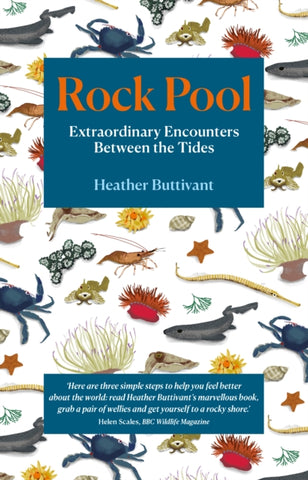 Rock Pool: Extraordinary Encounters Between the Tides : A Life -Long Fascination told in Twenty-Four Creatures-9781912836123