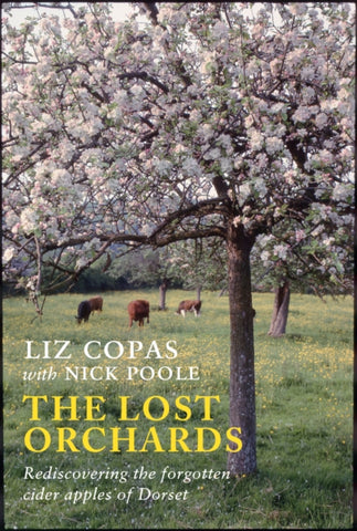 The Lost Orchards : Rediscovering the forgotten apple varieties of Dorset-9781915068095