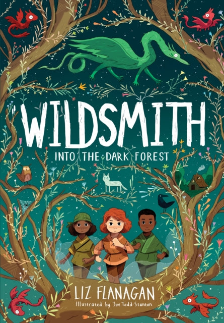 Into the Dark Forest : The Wildsmith #1-9781915235046
