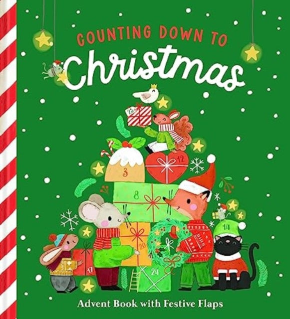 Counting Down to Christmas : Advent Book with Festive Flaps-9789464760897